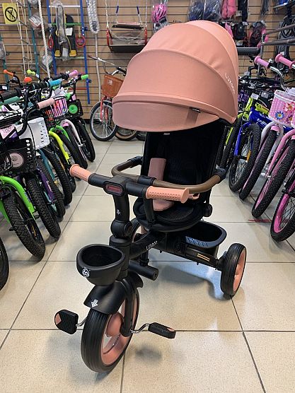 Трехколесный велосипед Luxmom Dalux 3123