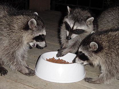 Нажмите для увеличения