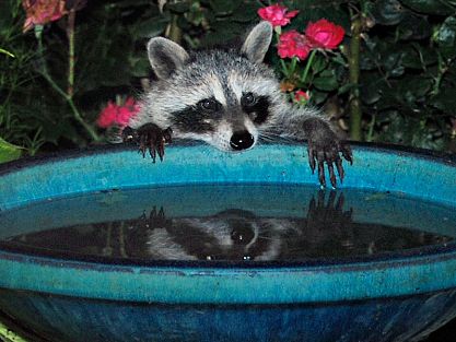 Нажмите для увеличения